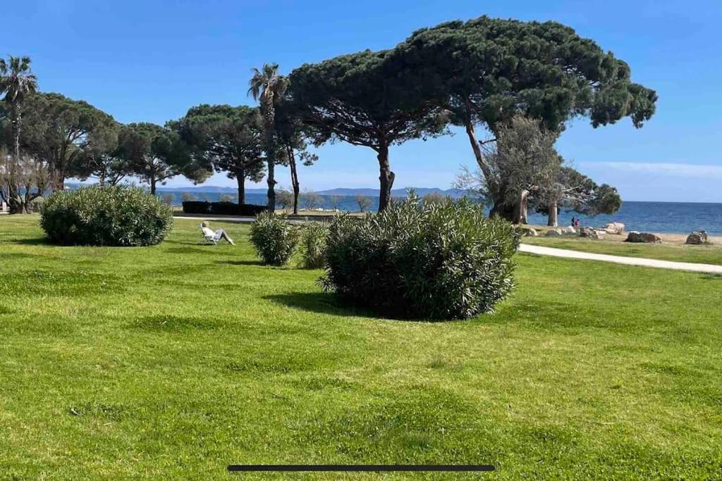 Studio Cosy Residence Odalys 3 Etoiles La Londe-les-Maures Eksteriør billede